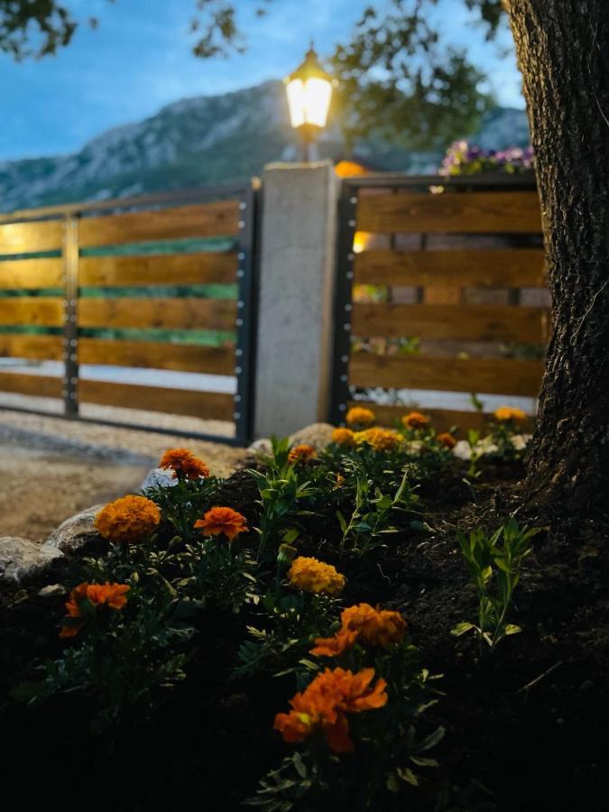 Guest House Mare Bar Exterior photo